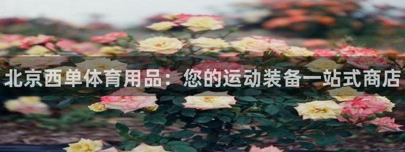 欧陆娱乐代理 贴吧:北京西单体育用品:您的运动装备一站式商店
