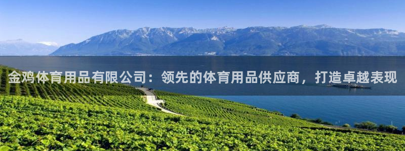 重庆欧陆娱乐有限公司地址:金鸡体育用品有限公司:领先的体育用