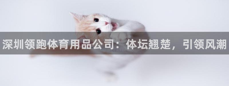 欧陆娱乐平台咋样赚钱快:深圳领跑体育用品公司:体坛翘楚,引领